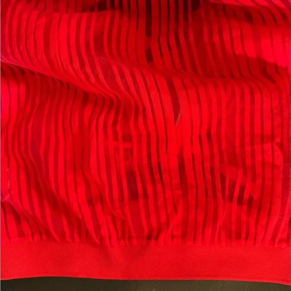 ZARA Red Sheer Jacket - Picture 6 of 7